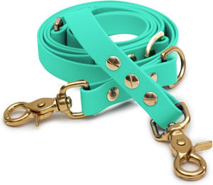 Emmy & Pepe Biothaneleine Mint 20mm 1.20m mit Scherenkarabiner Gold – Bild 1 von 1