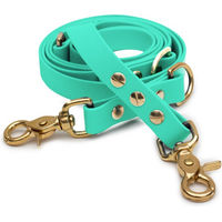 Produktbild von Emmy & Pepe Biothaneleine Mint 20mm 2.50m mit Scherenkarabiner Gold