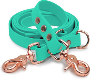 Emmy & Pepe Biothaneleine Mint 20mm 2.50m mit Scherenkarabiner Rosegold – Bild 1 von 1