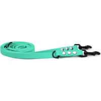 Produktbild von Emmy & Pepe Biothaneleine Mint 20mm 3m mit Sicherheitskarabiner Silber