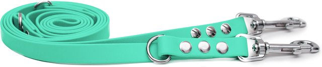 Emmy & Pepe Biothaneleine Mint 25mm 2.50m mit silbernem Bolzenkarabiner – Bild 1 von 1