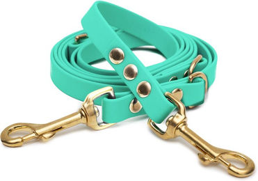 Emmy & Pepe Biothaneleine Mint 25mm 3m mit Bolzenkarabiner Gold – Bild 1 von 1