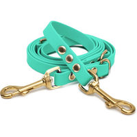 Produktbild von Emmy & Pepe Biothaneleine Mint mit Bolzenkarabiner Gold 25mm 2m