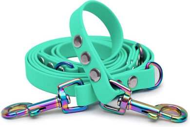 Emmy & Pepe Biothaneleine Mint mit Bolzenkarabiner Regenbogen 16mm 3m – Bild 1 von 1