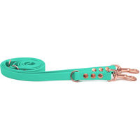 Produktbild von Emmy & Pepe Biothaneleine Mint mit Bolzenkarabiner Rosegold 25mm x 3m
