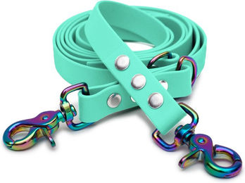 Emmy & Pepe Biothaneleine Mint mit Scherenkarabiner Regenbogen 20mm 3m – Bild 1 von 1