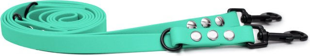 Emmy & Pepe Biothaneleine Mint mit Sicherheitskarabiner Silber 25mm 2.50m – Bild 1 von 1
