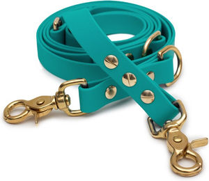 Emmy & Pepe Biothaneleine Türkis 20mm 2.50m mit Scherenkarabiner Gold – Bild 1 von 1