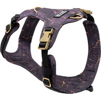 Produktbild von Emmy & Pepe Hundegeschirr mit Halsöffnung Golden Plum XS