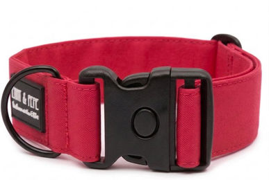 Emmy & Pepe Hundehalsband Neon Pink Extreme 35-55 cm – Bild 1 von 1