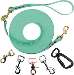 Emmy & Pepe Schleppleine mit abnehmbarer Handschlaufe Mint 15m 25mm Gold – Bild 1 von 1