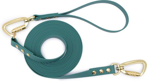 Emmy & Pepe Schleppleine mit abnehmbarer Handschlaufe Türkis 5m 25mm Gold – Bild 1 von 1