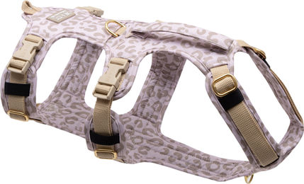Emmy & Pepe Wau-Safety Sicherheitsgeschirr Leo Creme M/L – Bild 1 von 1