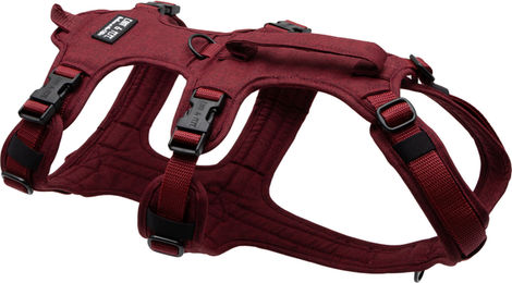 Emmy & Pepe Wau-Safety Sicherheitsgeschirr Velvet XXS für Hunde – Bild 1 von 1