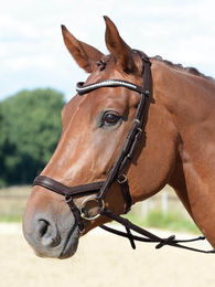 Emotion Reithalfter Trense aus Leder in Braun mit Kristallbesatz für Warmblut – Bild 1 von 1