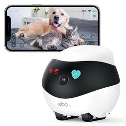Enabot EBO SE Mobile Überwachungskamera WLAN 1080P HD-Kamera mit 2-Wege-Audio und Selbstaufladefunktion für Haustiere und Familien – Bild 1 von 8