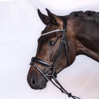 Produktbild von Englischer Trensenzaum Charm aus Leder für Ponys in Schwarz