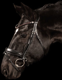 Englischer Trensenzaum Charm für Ponys aus Leder in Braun – Bild 1 von 1