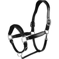 Produktbild von EQPRO Brilliance Lederhalfter für Pferde in Schwarz