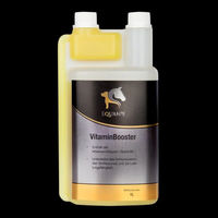 Produktbild von Equanis VitaminBooster flüssiger Vitaminsaft zur Immunstärkung für Pferde 1000 ml - 1 l