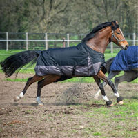 Produktbild von EQuest by Hölscher Outdoordecke Halifax Navy Blau XXL 165 cm - 160 g