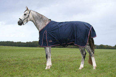 Produktbild von Equest by Hölscher Weidedecke Halifax 600D Fleece für Pferde