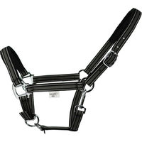 Produktbild von EQuest Halfter Dual Plus Chrome aus Kunststoff in Schwarz Größe M