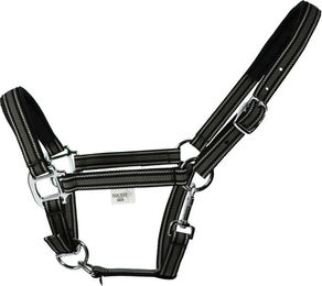 EQuest Halfter Dual Plus Chrome für Warmblut in Schwarz – Bild 1 von 2