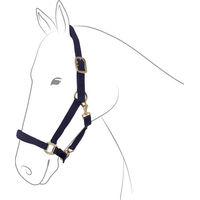 Produktbild von EQuest Halfter Dual Plus für Warmblut in Blau und Marine aus Polypropylen