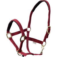 Produktbild von EQuest Halfter Dual Plus für Warmblut in Bordeaux Rot aus Polypropylen