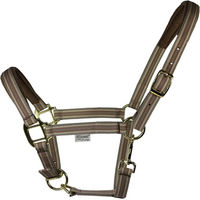 Produktbild von EQuest Halfter Dual Plus für Warmblut in Beige und Braun