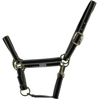 Produktbild von EQuest Halfter Dual Plus für Warmblut in Grau und Schwarz