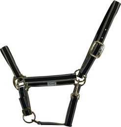 Produktbild von EQuest Halfter Dual Plus für Warmblut in Grau und Schwarz