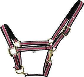 EQuest Halfter Dual Plus mit Messingbeschlägen für Warmblut Pferde – Bild 1 von 2