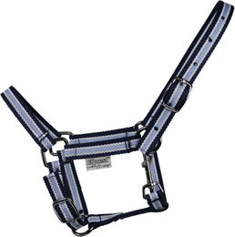 EQuest Halfter Dual Shetty aus Polypropylen in Blau – Bild 1 von 1