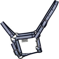 Produktbild von EQuest Halfter Dual Shetty aus Polypropylen in Blau