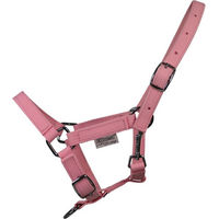 Produktbild von EQuest Halfter Dual Shetty aus Polypropylen in Rosa