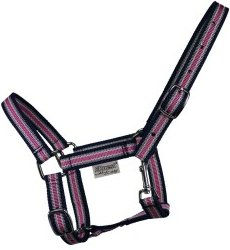 EQuest Halfter Dual Shetty Bunt – Bild 1 von 2