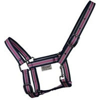 Produktbild von EQuest Halfter Dual Shetty Bunt