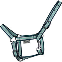 Produktbild von EQuest Halfter Dual Shetty Grün