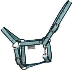 EQuest Halfter Dual Shetty in Grün – Bild 1 von 2