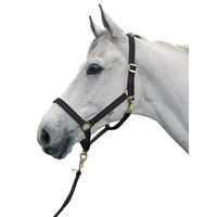 Produktbild von EQuest Halfter HÖL Regular Messing Schwarz Gold