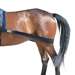 EQuest Körper Bandage für Pferde Schwarz Größe L aus Polyester – Bild 1 von 7