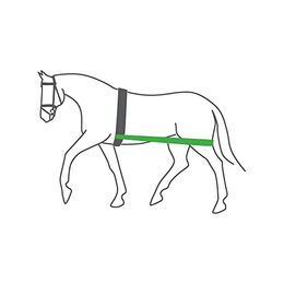 EQuest Körper Bandage für Ponys Schwarz Größe S – Bild 1 von 6