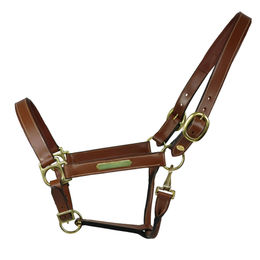 Produktbild von EQuest Lederhalfter Inscribe für Pferde unterlegt Braun Größe M Cob/Vollblut