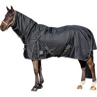Produktbild von EQuest Outdoordecke Titan 300g