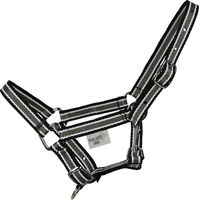 Produktbild von EQuest Shetty Halfter Dual Nickel in Grau und Schwarz aus Kunststoff