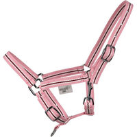 Produktbild von EQuest Shetty Halfter Dual Nickel Rosa aus Kunststoff