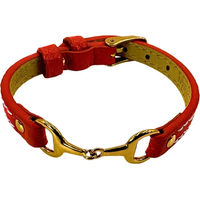 Produktbild von Equestrian Shop Armband aus Edelstahl ohne Strass für Unisex in Gold Orange oder Rot
