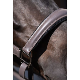 Produktbild von Equestrian Stockholm Anatomic Lederhalfter Glimmer Dunkelviolett